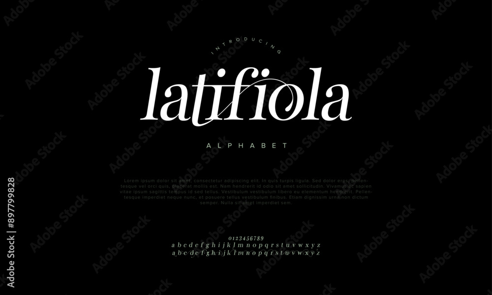Latifola swash luxury elegant alphabet letters and numbers. Vintage wedding typography classic serif font decorative vintage retro. creative vector illustration Latifola swash luxury elegant alphabet letters and numbers. Vintage wedding typography classic serif font decorative vintage retro. creative vector illustration