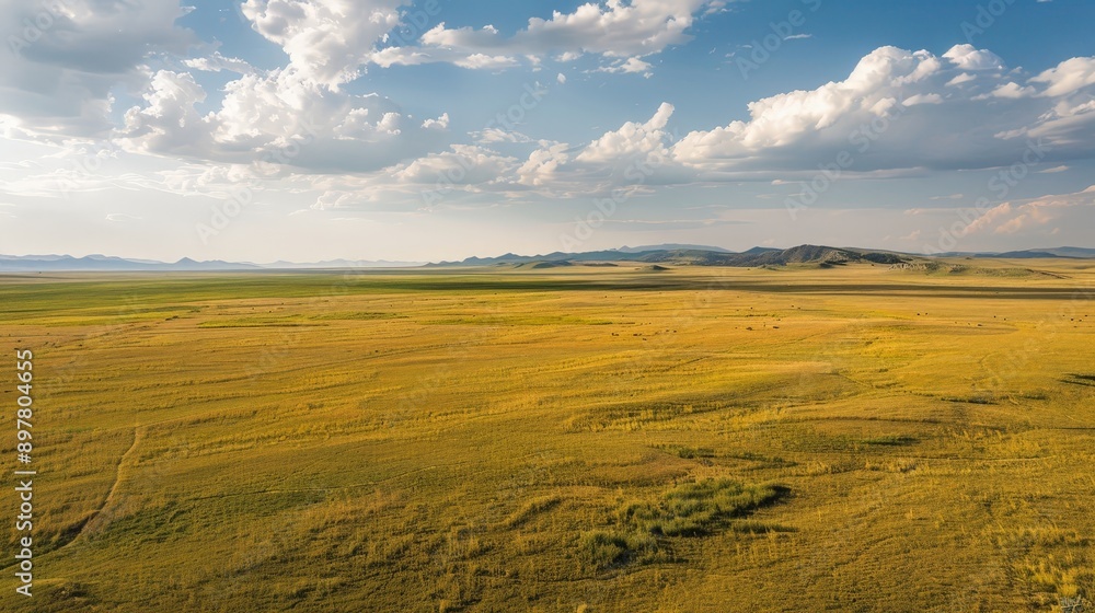 Fototapeta premium Marvel at the expansive beauty of a steppe landscape, capturing the vast, open plains from above.
