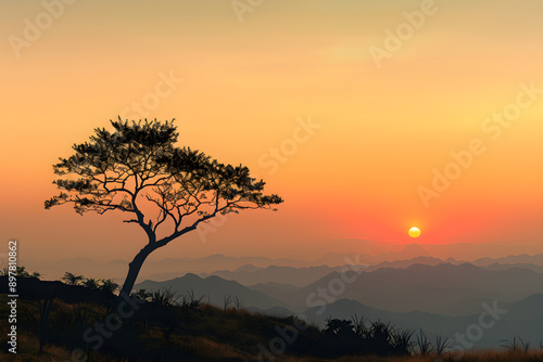 Solitary Tree at Sunset: Evoking Calm and Introspection in a Serene Landscape