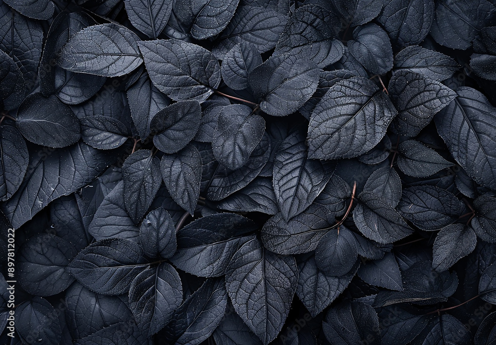 Moody Dark Leaves Background with Rich Texture and Contrast Moody Dark Leaves Background with Rich Texture and Contrast