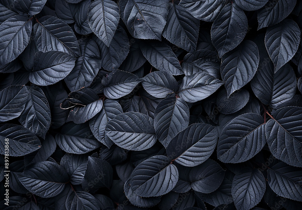 Moody Dark Leaves Background with Rich Texture and Contrast Moody Dark Leaves Background with Rich Texture and Contrast