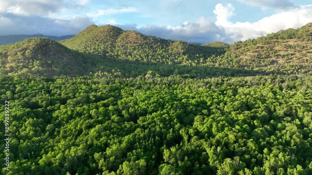 Morning sunlight illuminates the mangrove-fringed island of Lembata, Indonesia. This beautiful and biodiverse area is part of the famed Ring of Fire and is home to high marine biodiversity.