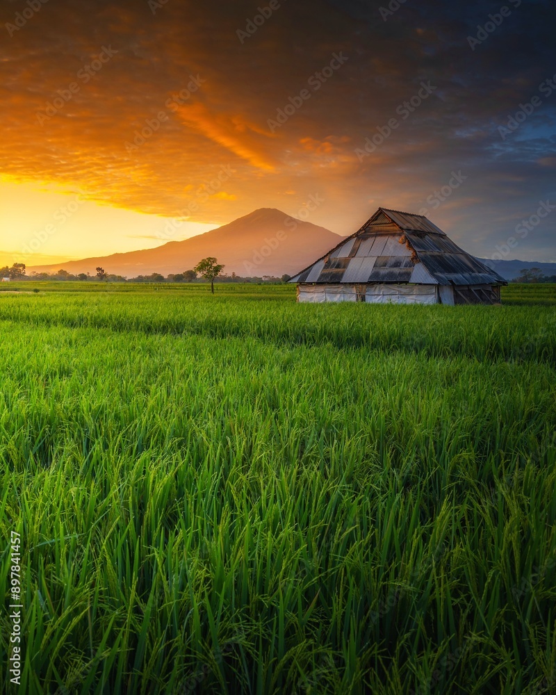 beautiful sunrise in the morning beautiful sunrise in the morning