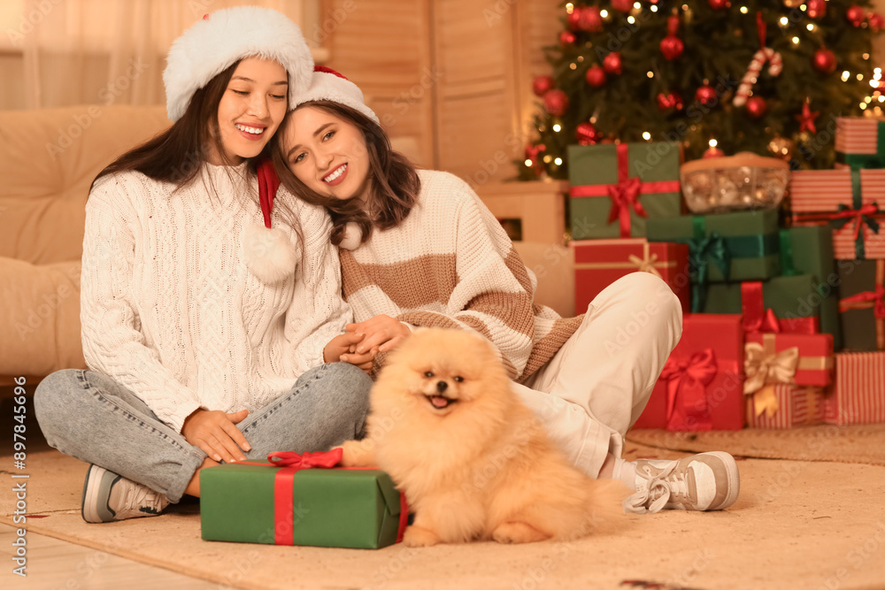 Young lesbian couple with dog and Christmas gift at home in evening Young lesbian couple with dog and Christmas gift at home in evening