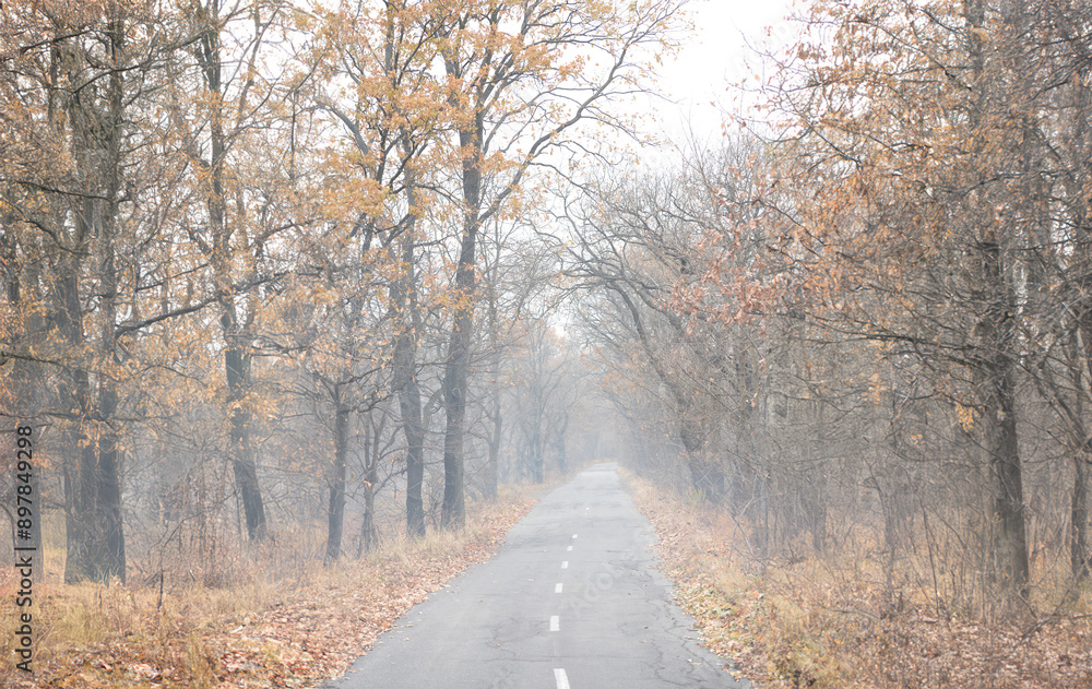 autumn beautiful natural background banner autumn beautiful natural background banner