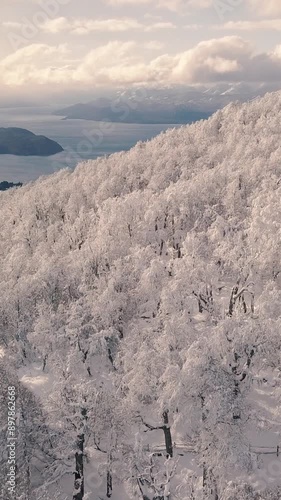 Bosque Nevado en Invierno en las Montañas -Video de Drone Vertical 