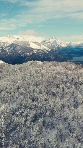 Bosque Nevado en Invierno en las Montañas -Video de Drone Vertical 