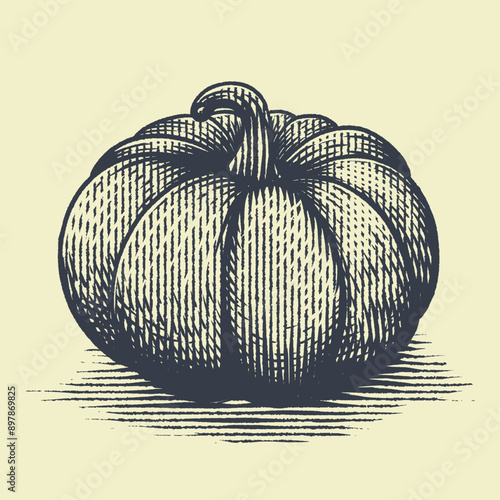 pumpkin in vintage engraving style