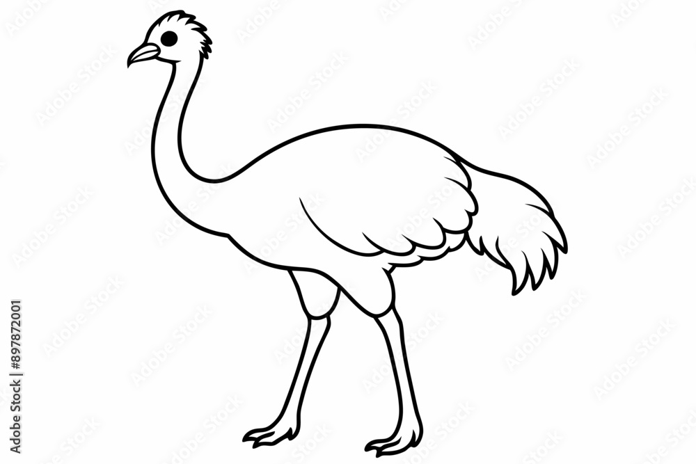 Funny Emu Vector Illustration Cartoon, Clipart, and Line Art on White Background, Funny emu cartoon vector illustration, clipart, and line art on white background Funny Emu Vector Illustration Cartoon, Clipart, and Line Art on White Background, Funny emu cartoon vector illustration, clipart, and line art on white background