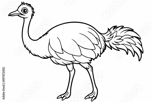 Funny Emu Vector Illustration Cartoon, Clipart, and Line Art on White Background, Funny emu cartoon vector illustration, clipart, and line art on white background