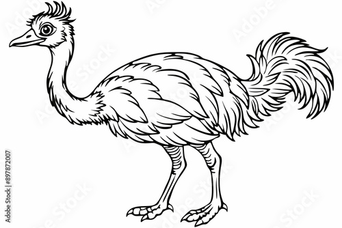 Funny Emu Vector Illustration Cartoon, Clipart, and Line Art on White Background, Funny emu cartoon vector illustration, clipart, and line art on white background