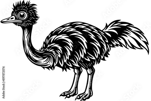 Funny Emu Vector Illustration Cartoon, Clipart, and Line Art on White Background, Funny emu cartoon vector illustration, clipart, and line art on white background