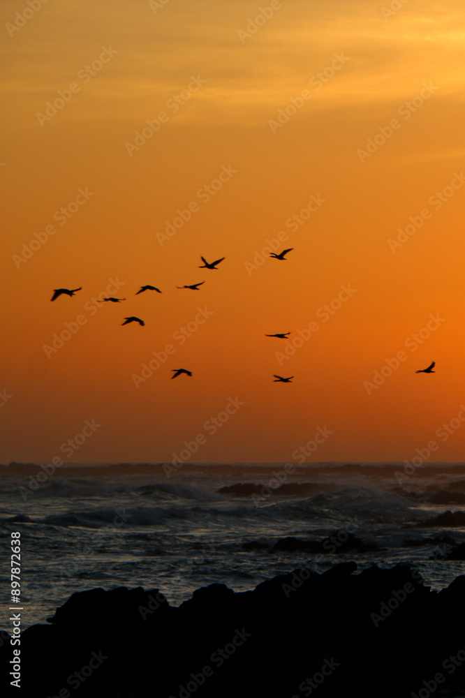 Fototapeta premium sunset over the sea