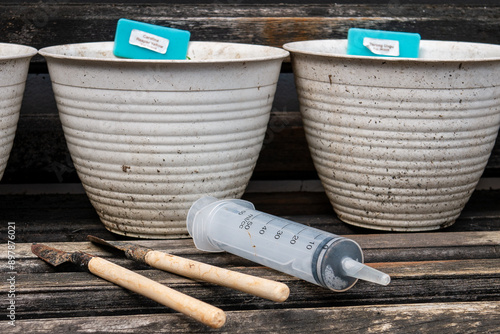 Gardening Shovel and Repurposed Watering Syringe for Home Gardening and Plant Watering next to Flower Pots on a Wooden Garden Bench