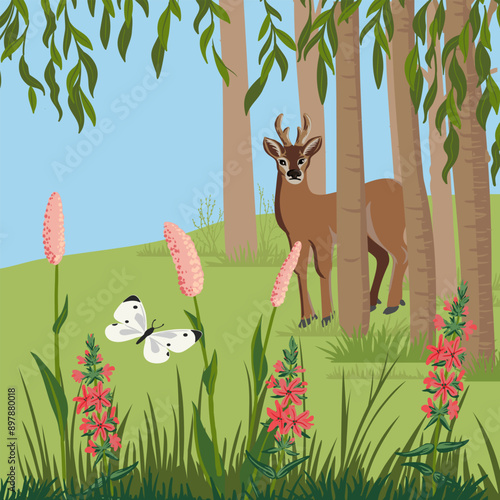 vector drawing western roe deer, trees, red flowers and green grass, hand drawn animal in forest , cartoon style illustration