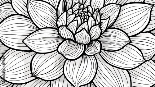 Discover Peace with Our Mandala Adult Coloring Book