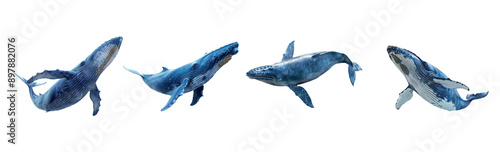 Blue Whales Swimming In Different Poses Isolated On Transparent Background photo