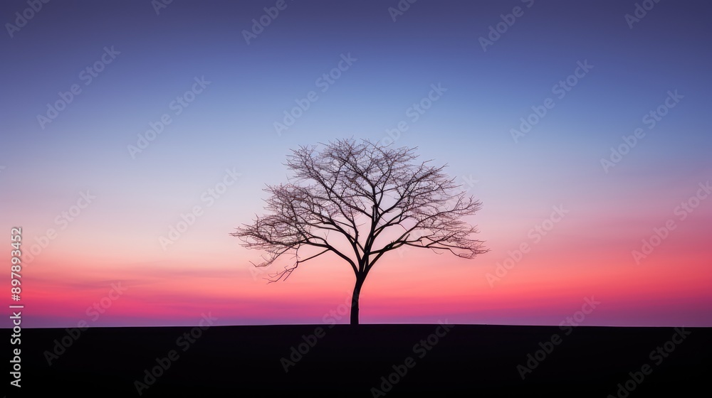 silhouette minimal trees silhouette minimal trees