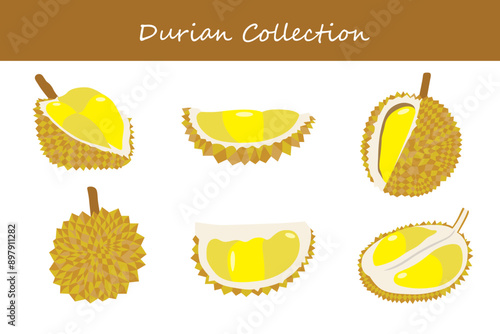 durian collection. durian in different poses. Vector illustration.