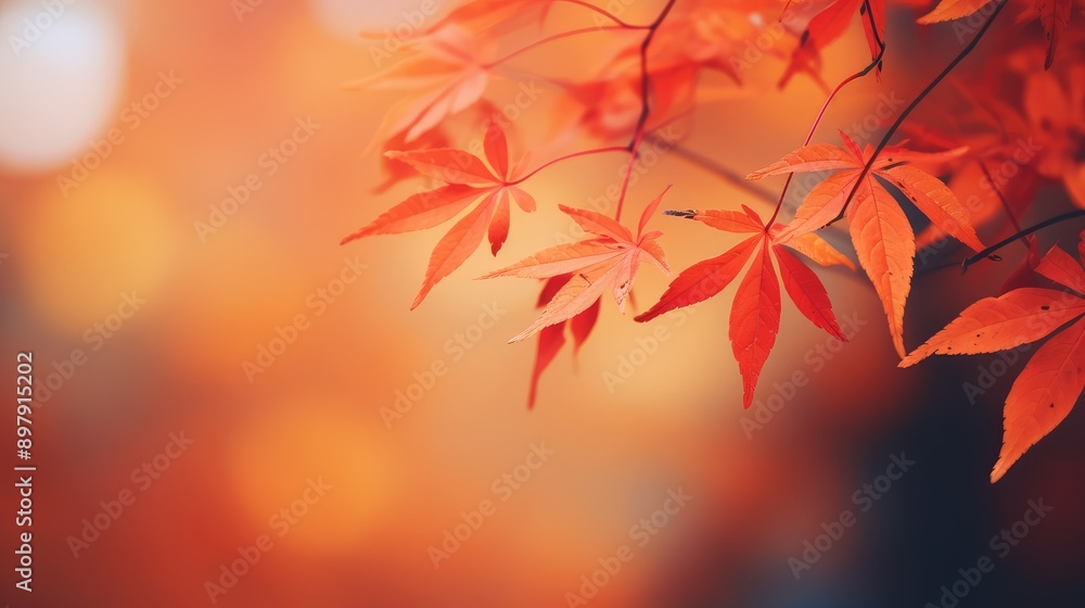 foliage blurry leaves foliage blurry leaves