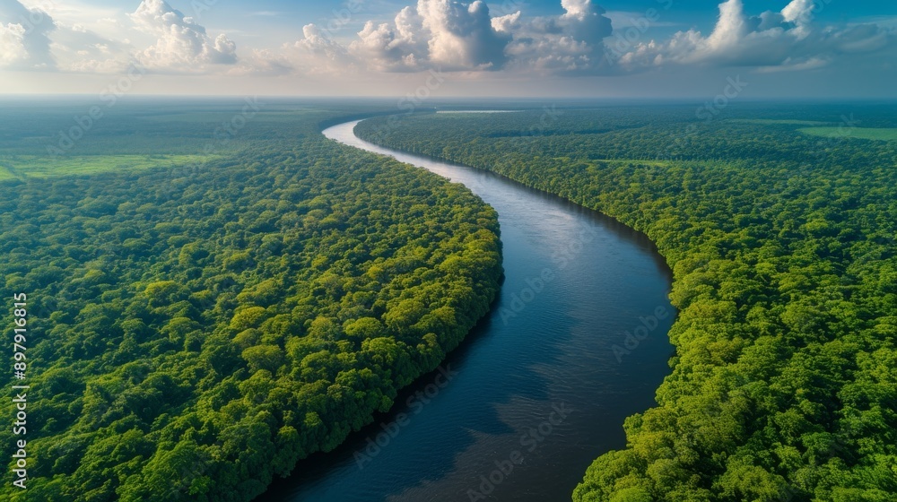 Aerial view of a winding river through a lush green rainforest under a cloudy sky, scenic landscape. Nature and environmental conservation concept Aerial view of a winding river through a lush green rainforest under a cloudy sky, scenic landscape. Nature and environmental conservation concept