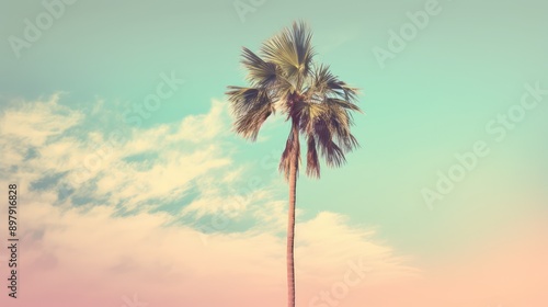 tranquility retro palm tree