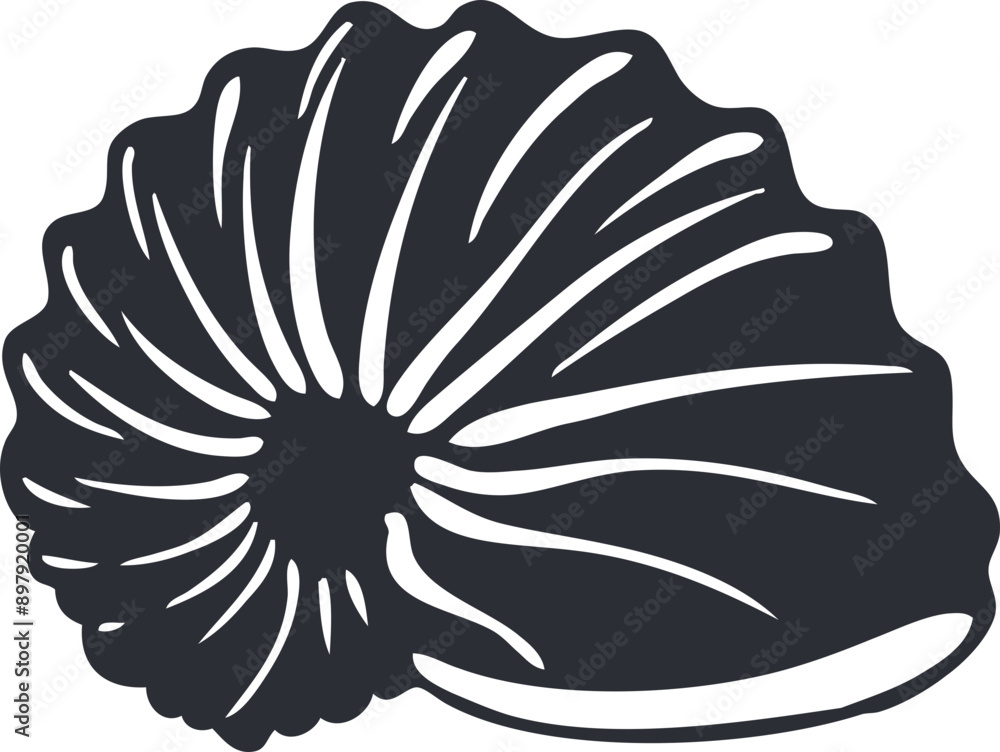 shell illustration shell illustration