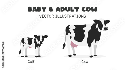 Holstein cow vector illustration. Cute black and white cow cartoon clipart, animal in flat style. Farm animals concept, rural farming. Livestock animal dairy cow vector design isolated on white