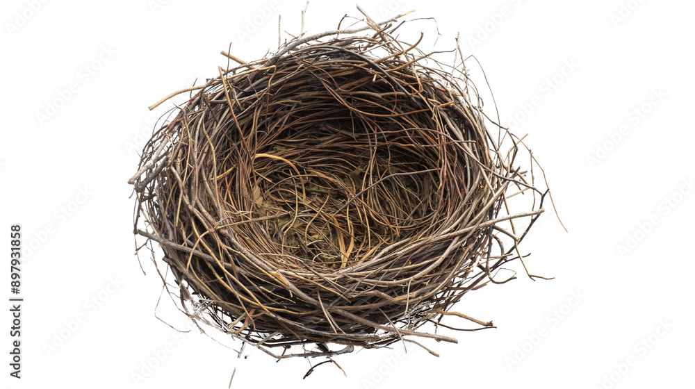 bird nest isolated on transparent white background, clipping path bird nest isolated on transparent white background, clipping path