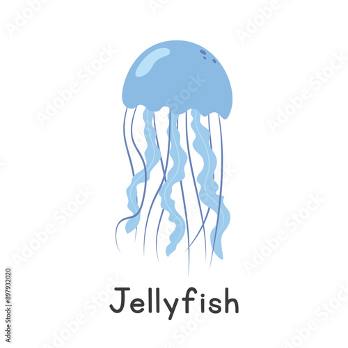 Jellyfish vector illustration. Beautiful blue compass jellyfish cartoon clipart, animal in flat style. Sea animals, underwater creatures, ocean animals, marine life concept. Jellyfish vector design