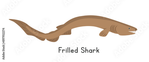 Frilled shark vector illustration. Lizard shark cute cartoon clipart, animal in flat style. Sea animals, underwater creatures, ocean animals, marine life concept. Frilled shark vector design isolated