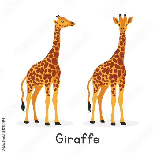 Giraffe vector illustration, cartoon clipart character, animal in flat style. Wild animals, wild creatures, wildlife concept. Giraffe vector design isolated on white background