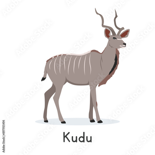 Kudu vector illustration, cartoon clipart character, animal in flat style. Wild animals, wild creatures, wildlife concept. Lesser kudu or greater kudu vector design isolated on white background