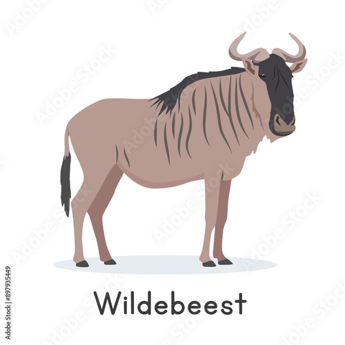 Wildebeest vector illustration, cartoon clipart character, animal in flat style. Wild animals, wild creatures, wildlife concept. Blue wildebeest vector design isolated on white background