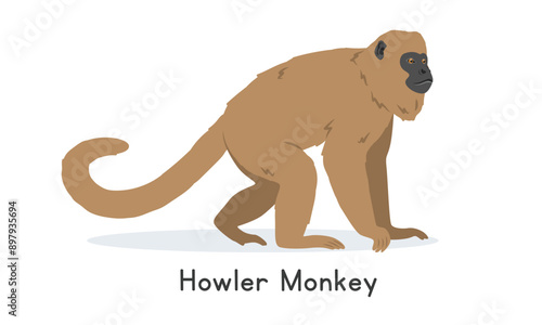 Brown howler monkey vector illustration, cartoon clipart character, animal in flat style. Wild animals, wild creatures, wildlife concept. Brown howler vector design isolated on white background