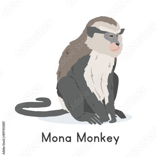 Mona monkey vector illustration, cartoon clipart character, animal in flat style. Wild animals, wild creatures, wildlife concept. Mona monkey vector design isolated on white background