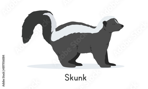 Striped skunk vector illustration, cartoon clipart character, animal in flat style. Wild animals, wild creatures, wildlife concept. Cute skunk vector design isolated on white background