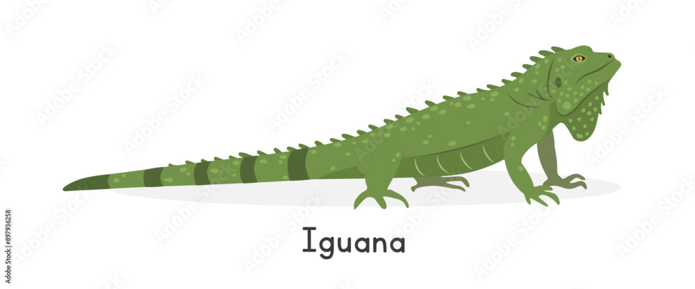 Naklejka premium Green iguana vector illustration, cartoon clipart character, animal in flat style. Wild animals, wild creatures, wildlife concept. Iguana vector design isolated on white background