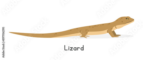 Lizard vector illustration, cartoon clipart character, animal in flat style. Wild animals, wild creatures, wildlife concept. Lizard vector design isolated on white background