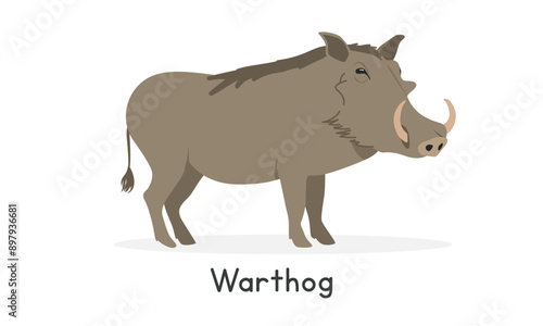 Common warthog vector illustration, cartoon clipart character, animal in flat style. Wild animals, wild creatures, wildlife concept. Warthog vector design isolated on white background