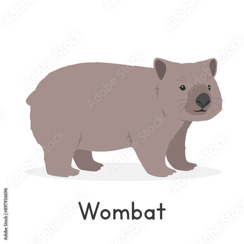 Common wombat vector illustration, cartoon clipart character, animal in flat style. Wild animals, wild creatures, wildlife concept. Cute wombat vector design isolated on white background