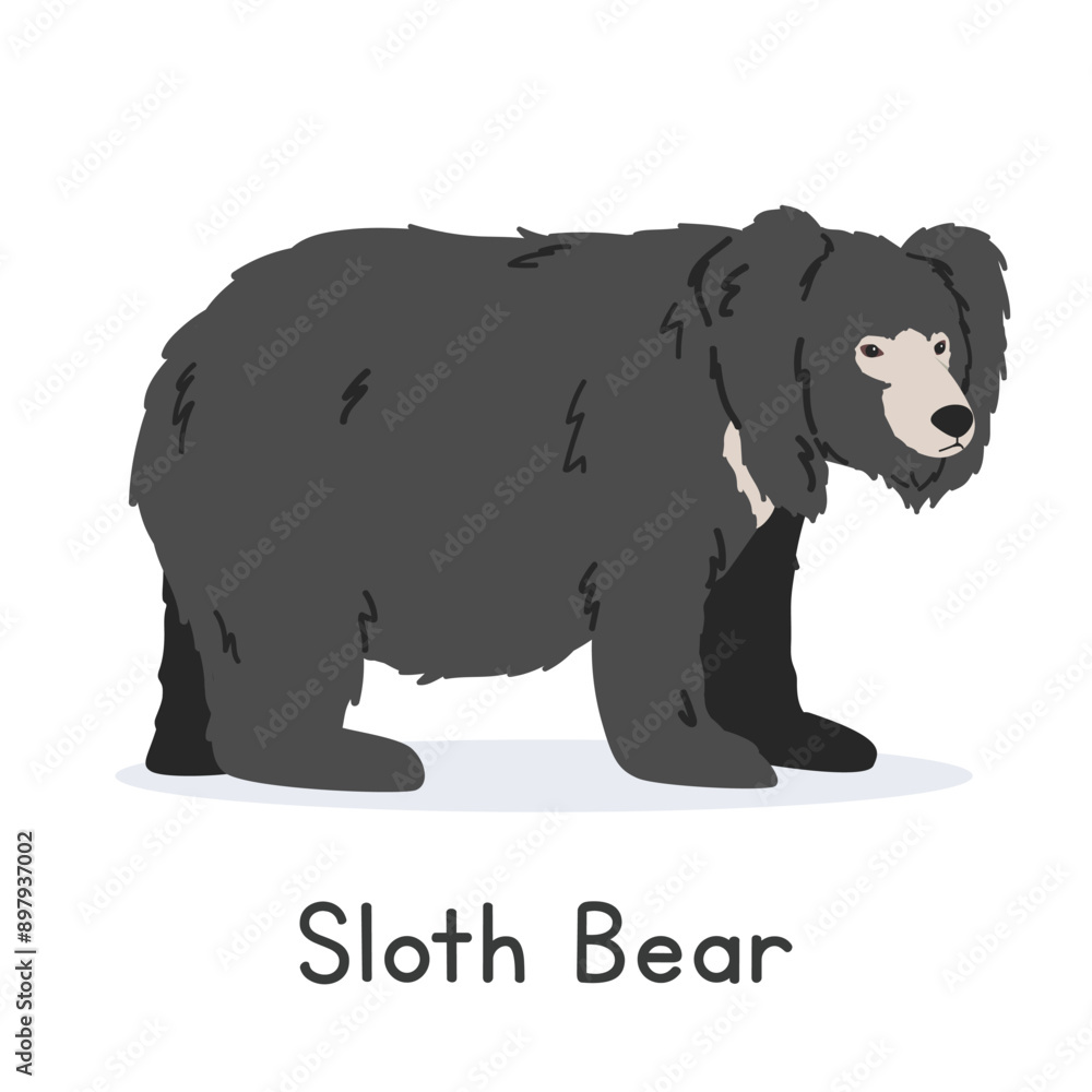 Sloth bear vector illustration, cartoon clipart character, animal in flat style. Wild animals, wild creatures, wildlife concept. Indian bear vector design isolated on white background Sloth bear vector illustration, cartoon clipart character, animal in flat style. Wild animals, wild creatures, wildlife concept. Indian bear vector design isolated on white background