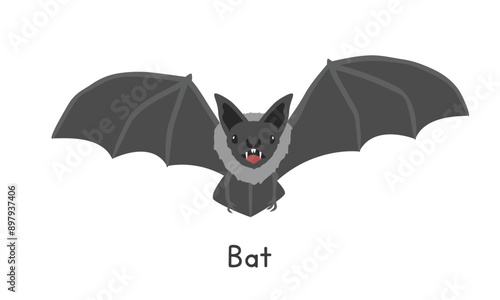 Common vampire bat vector illustration, cartoon clipart character, animal in flat style. Wild animals, wild creatures, wildlife concept. Flying bat vector design isolated on white background