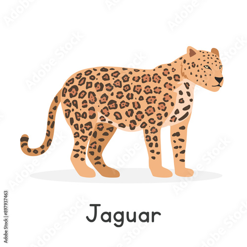 Jaguar vector illustration, cartoon clipart character, animal in flat style. Wild animals, wild creatures, wildlife concept. Jaguar vector design isolated on white background