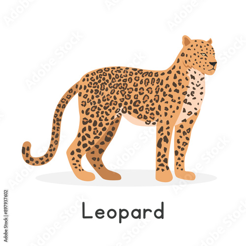 Leopard vector illustration, cartoon clipart character, animal in flat style. Wild animals, wild creatures, wildlife concept. Leopard vector design isolated on white background