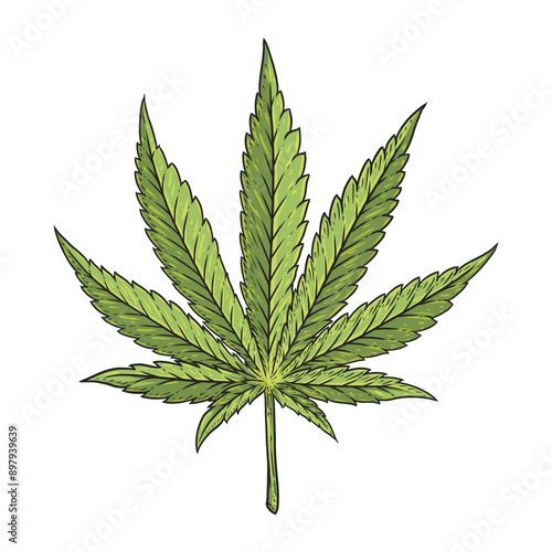 marijuana leaf in hand drawn style vector