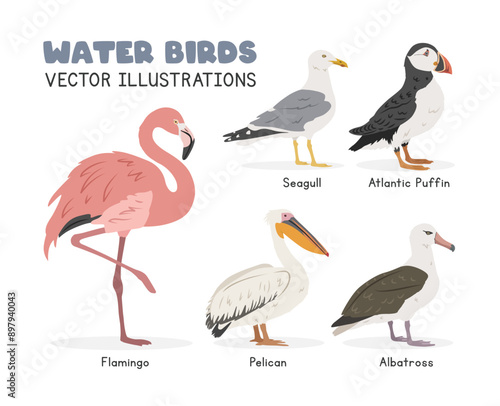 Water birds vector illustration set. Seabirds cartoon clipart set in flat style. Flamingo, seagull, pelican, albatross, Atlantic puffin flat vector design. Wild animals, birds concept