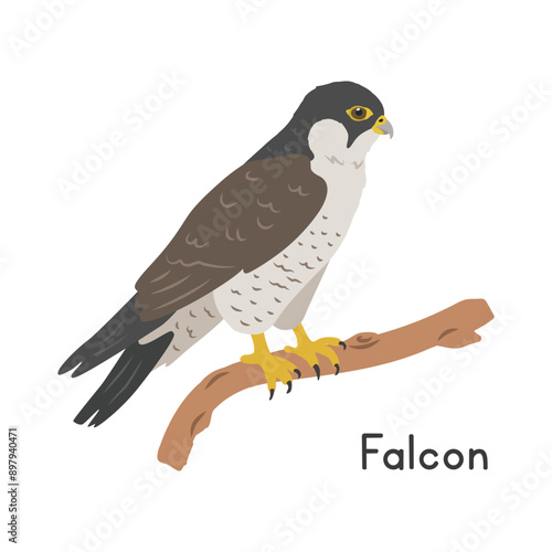 Peregrine falcon perched on tree branch vector illustration, cartoon clipart character, animal in flat style. Wild animals, avian, birds concept. Falcon vector design isolated on white background
