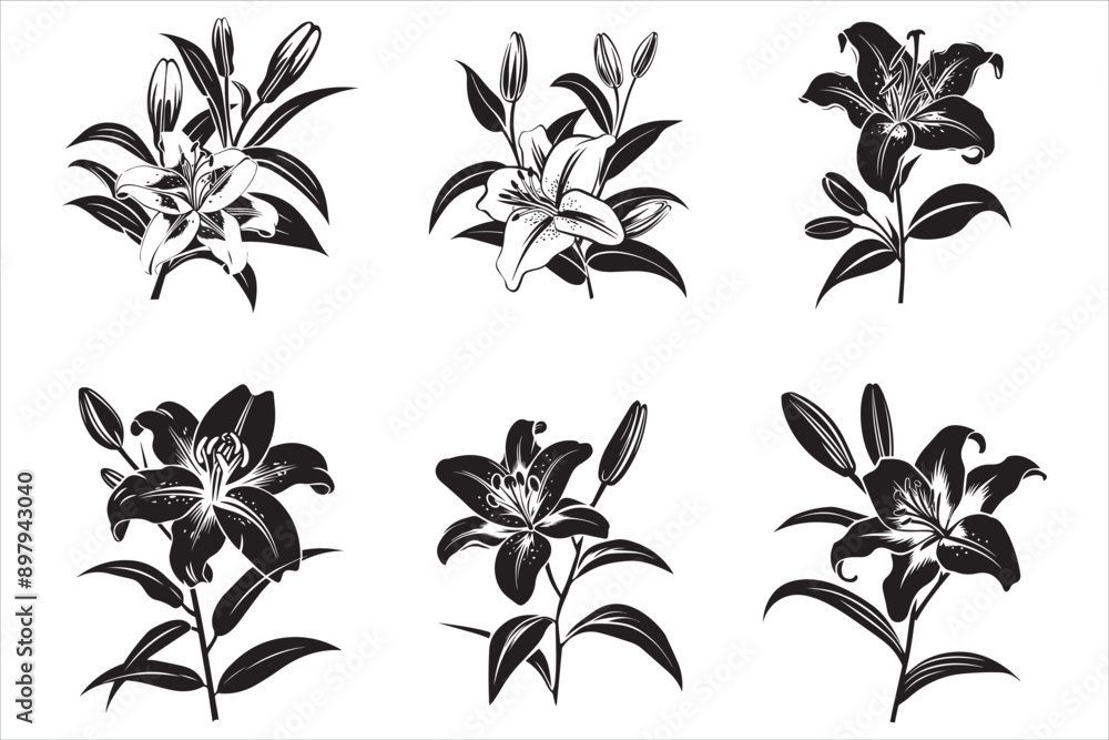 Lily_Flower_Silhouette vector Lily_Flower_Silhouette vector