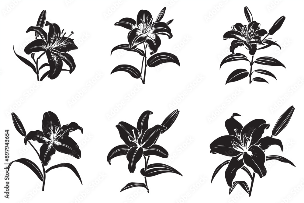 Lily_Flower_Silhouette vector Lily_Flower_Silhouette vector